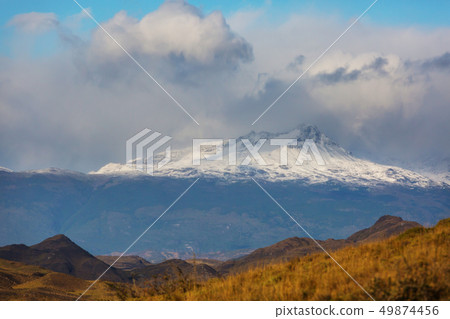 Patagonia Patagonia 49874456