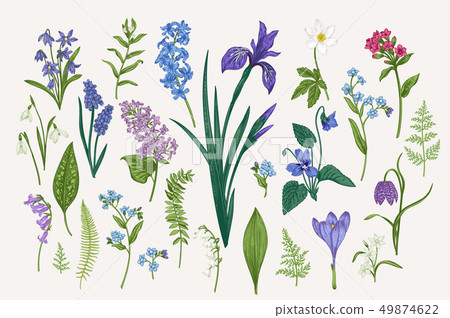 Set with flowers and leaves 49874622