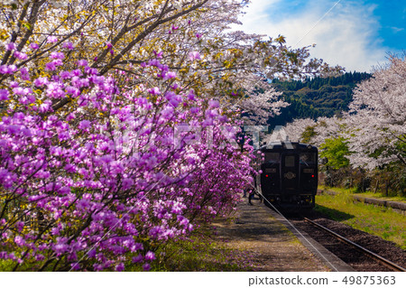 春天川川站_鹿兒島 49875363