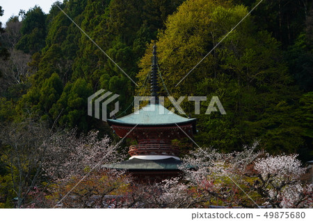 京都的風景 49875680