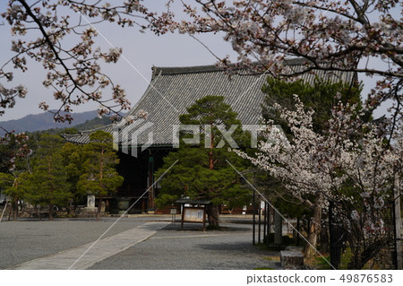 京都的風景 京都的風景 49876583