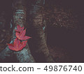 Dry red maple leaves on an old tree stump. 49876740