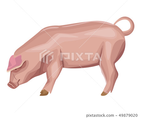 pig icon cartoon 49879020