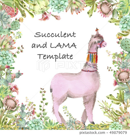 Desert Alpaca template watercolor Desert Alpaca template watercolor 49879079