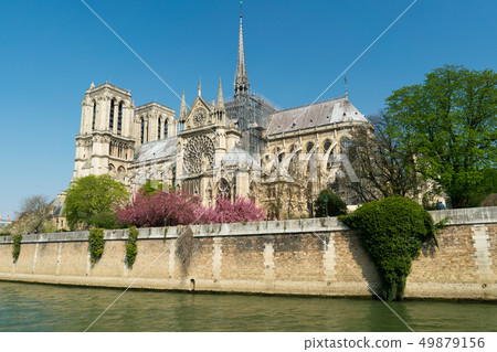 Notre Dame Cathedral surrounded by flowering trees 49879156