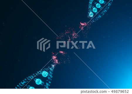 3D illustration Virus DNA molecule, structure. Concept destroyed code human genome. Damage DNA 3D illustration Virus DNA molecule, structure. Concept destroyed code human genome. Damage DNA 49879652
