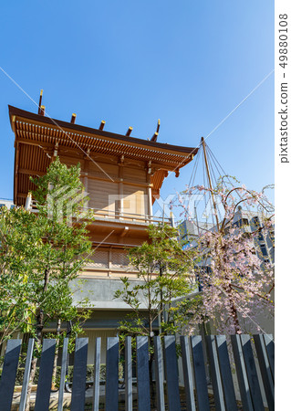 Tokyo, Sutengu and cherry blossoms Tokyo, Sutengu and cherry blossoms 49880108