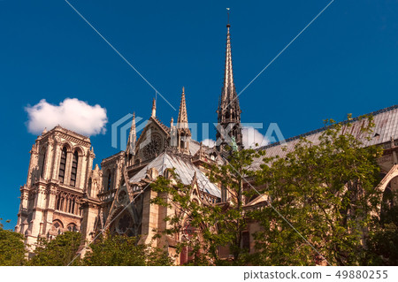 Spire of Cathedral of Notre Dame de Paris, France 49880255