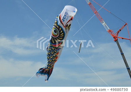 Jumbo Koinobori（Tonegawa Riverside Green Park /埼玉加賀市） 49880730