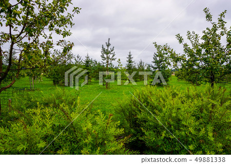 Garden in Koknese park Garden of Destinies in Garden in Koknese park Garden of Destinies in 49881338