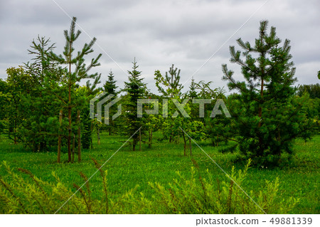 Garden in Koknese park Garden of Destinies in Garden in Koknese park Garden of Destinies in 49881339
