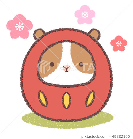 Daruma guinea pig Daruma guinea pig 49882100