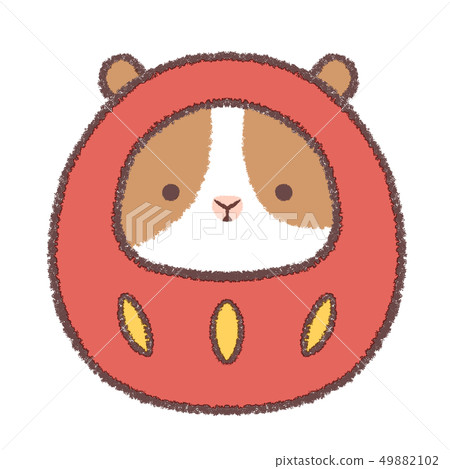 Daruma guinea pig alone 49882102