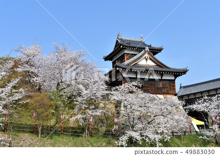 Cherry blossom festival of Koriyama castle Cherry blossom festival of Koriyama castle 49883030