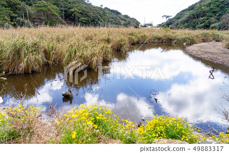 友島步行·偏遠的島嶼 友島步行·偏遠的島嶼 49883317