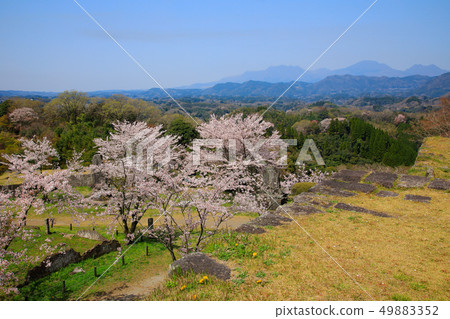 Takeda City Spring Cherry blossoms in Okashiro Pass Takeda City Spring Cherry blossoms in Okashiro Pass 49883352