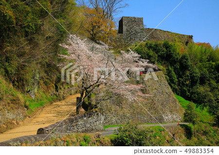 Taketa City Spring Cherry blossoms blooming Okajo Pass 49883354