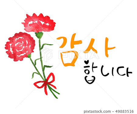 Carnation image.- Calligraphy - Stock Illustration [49883516] - PIXTA