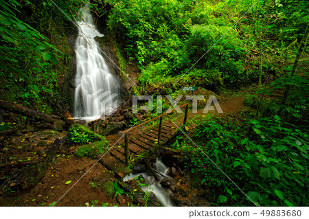 Cascada Bromelias, waterfall Tapanti National park Cascada Bromelias, waterfall Tapanti National park 49883680
