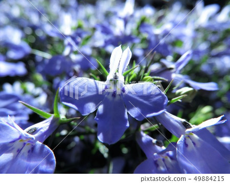 Azuro compact Azuro compact 49884215