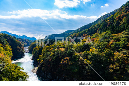 Autumn leaves of the Kinugawa River 49884378