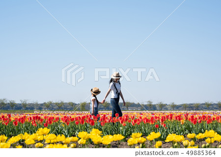 Mother and daughter playing in the flower field Mother and daughter playing in the flower field 49885364