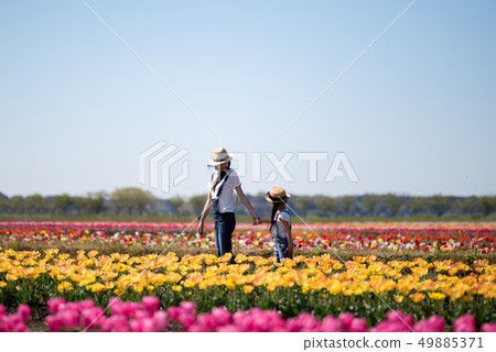 Mother and daughter playing in the flower field Mother and daughter playing in the flower field 49885371