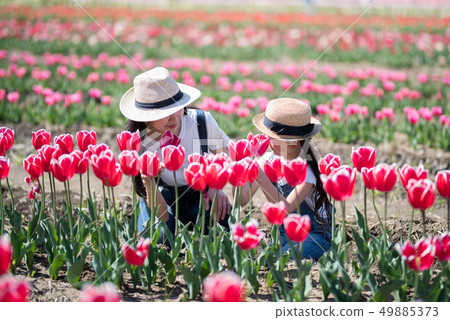Mother and daughter playing in the flower field Mother and daughter playing in the flower field 49885373