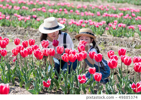 Mother and daughter playing in the flower field Mother and daughter playing in the flower field 49885374