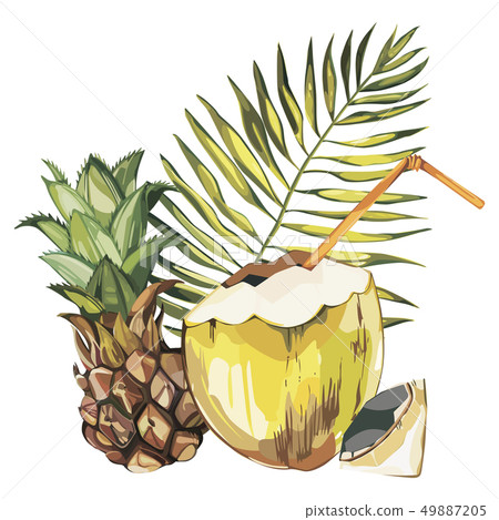 Coconut hand drawn sketch with Pineapple fruit. Watercolor tropical food illustration. Isolated on 49887205
