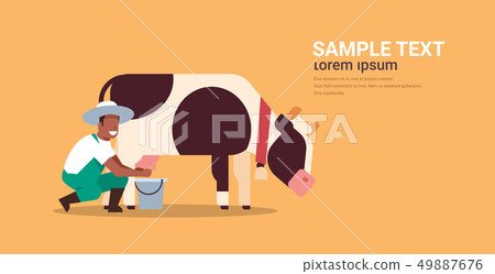 african american male farmer milking cow in bucket farm domestic animal cattle fresh milk concept african american male farmer milking cow in bucket farm domestic animal cattle fresh milk concept 49887676