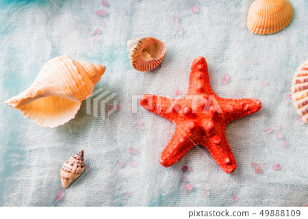 Seashells and starfish on white cloth background Seashells and starfish on white cloth background 49888109