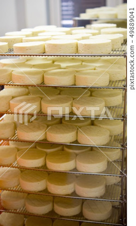 Cheese factory Cheese factory 49889041