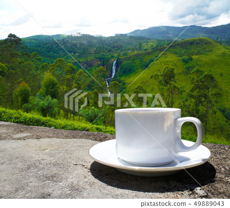 Sri Lanka tea hills. Tea cup and plantation. 49889043