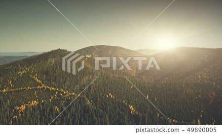 Highland coniferous wood sun beam aerial view Highland coniferous wood sun beam aerial view 49890005
