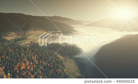 Misty mountain coniferous forest slope aerial view Misty mountain coniferous forest slope aerial view 49890028