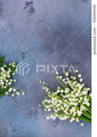 Lilly of the valley flowers 49890406