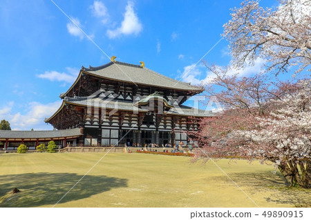 Horyuji and cherry blossoms 49890915