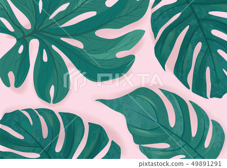 Tropcal palm leaves floral summer background Tropcal palm leaves floral summer background 49891291