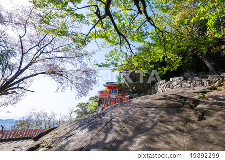 春天神倉 春天神倉 49892299