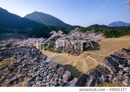 Akagi Castle Ruins of Spring 49892357