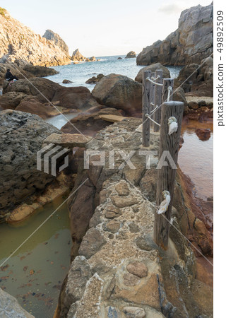 集集溫泉溫泉島 集集溫泉溫泉島 49892509