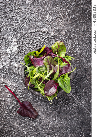Mix of green salad leaves Mix of green salad leaves 49892838