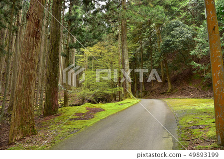 阿彌陀寺的風景 阿彌陀寺的風景 49893199