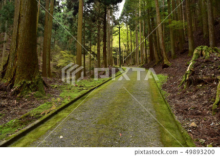 Scenery of Amida Temple Scenery of Amida Temple 49893200