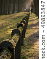 Moss coverd fence Nature Park Green Closs-Up 49893847