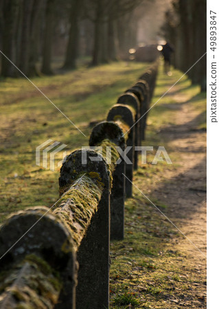 Moss coverd fence Nature Park Green Closs-Up 49893847
