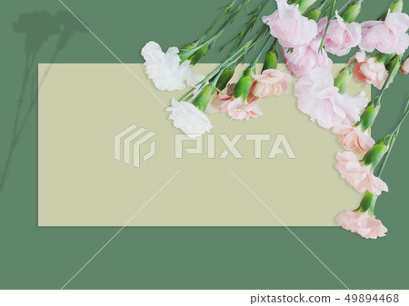 Carnation Background Image 03 49894468