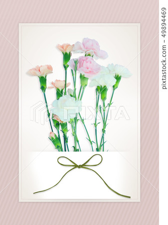 Carnation Background Image 02 Carnation Background Image 02 49894469