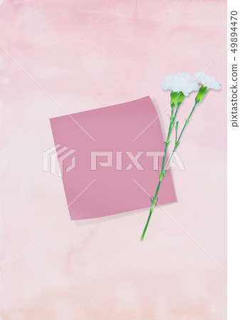 Carnation Background Image 01 Carnation Background Image 01 49894470